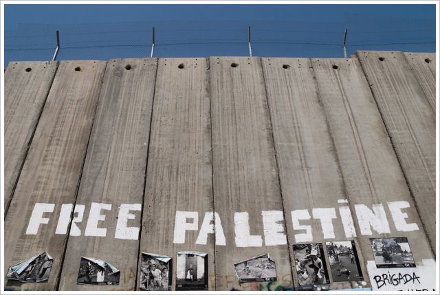 Apoyo a las acampadas universitarias por Palestina